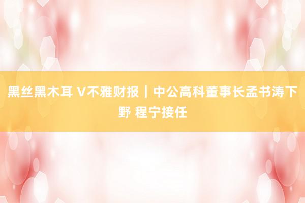 黑丝黑木耳 V不雅财报｜中公高科董事长孟书涛下野 程宁接任