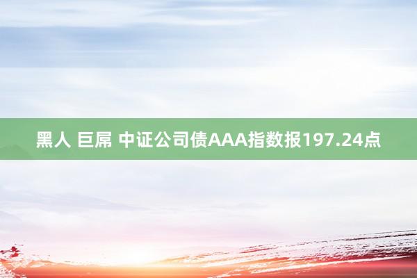 黑人 巨屌 中证公司债AAA指数报197.24点