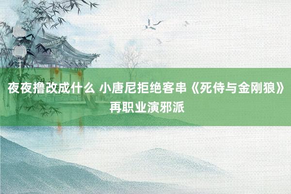 夜夜撸改成什么 小唐尼拒绝客串《死侍与金刚狼》 再职业演邪派