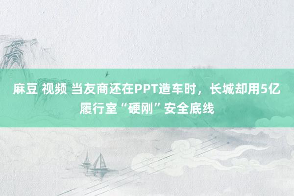 麻豆 视频 当友商还在PPT造车时，长城却用5亿履行室“硬刚”安全底线