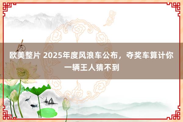 欧美整片 2025年度风浪车公布，夺奖车算计你一辆王人猜不到