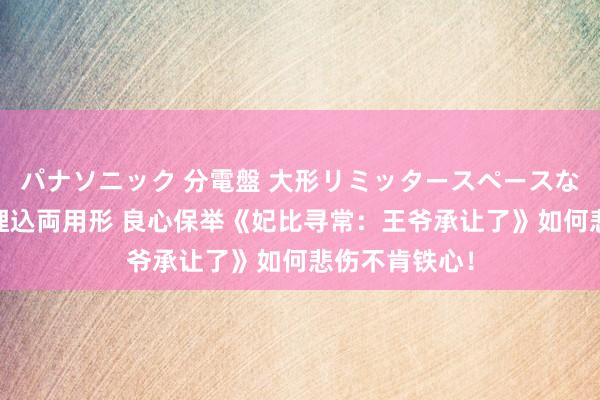 パナソニック 分電盤 大形リミッタースペースなし 露出・半埋込両用形 良心保举《妃比寻常：王爷承让了》如何悲伤不肯铁心！
