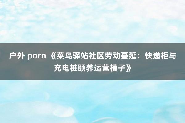 户外 porn 《菜鸟驿站社区劳动蔓延：快递柜与充电桩颐养运营模子》