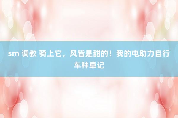 sm 调教 骑上它，风皆是甜的！我的电助力自行车种草记