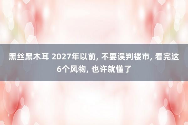 黑丝黑木耳 2027年以前, 不要误判楼市, 看完这6个风物, 也许就懂了